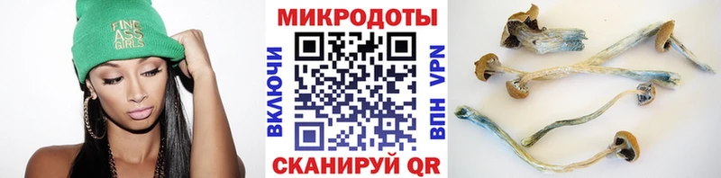 купить наркоту Урень Псилоцибиновые грибы Psilocybine cubensis